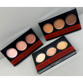 CORRETIVO CORECTOR & COMCEALER FACE TOUCH-UP PALETE - MELS - 4g