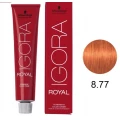 IGORA ROYAL - TINTA PARA CABELO - 8.77 - LOURO CLARO COBRE EXTRA - SCHWARZKOPF PROFESSIONAL - 60G